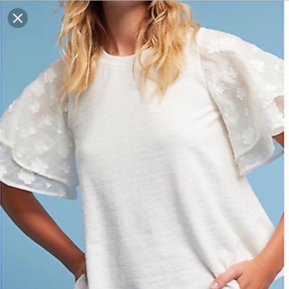 Eri and Ali Anthropologie Top